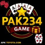 pak234-game