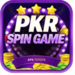 Pkr-Spin-Game