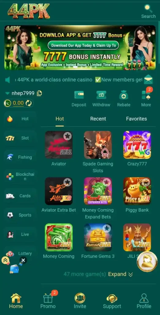 44pk game interface