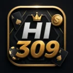 HI309 game feuture