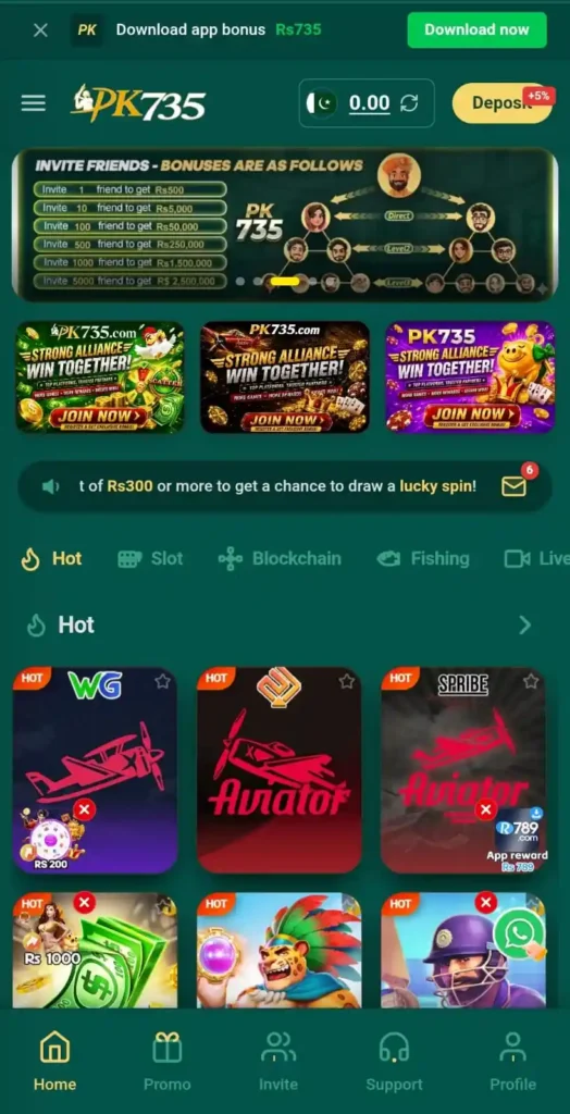 pk735 game interface